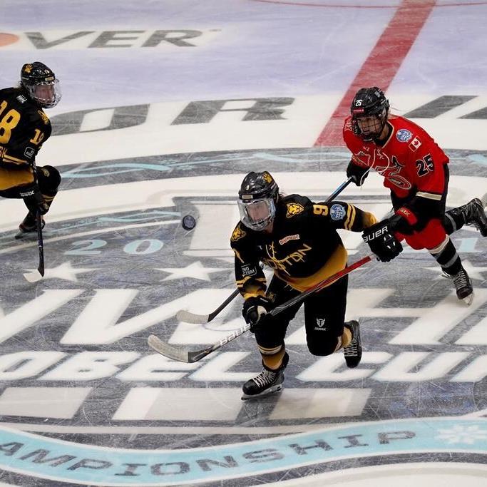 New women's pro hockey league set for January debut, to be funded by Dodgers owner